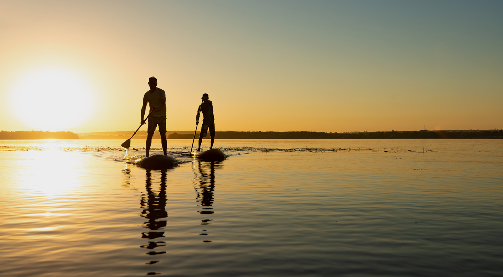 Bayside paddleboarding